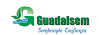 Guadalsem