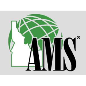 AMS, Inc.