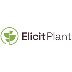Elicit Plant