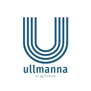 Ullmanna