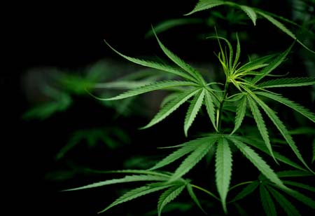  Johnson Heller, Agri Business Review | Agri Business Review 