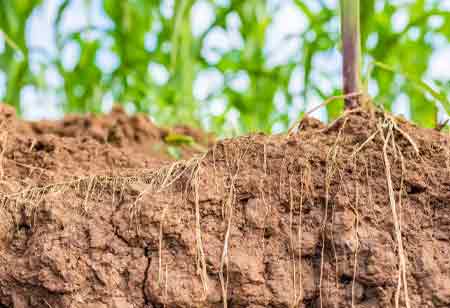Valuing What Already Exists in Agricultural Soil