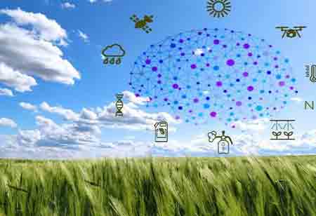 Data-Driven Innovation Transforming Agronomic Field Trial Management