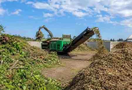 Agricultural Innovations: Profiting from Waste Management Solutions
