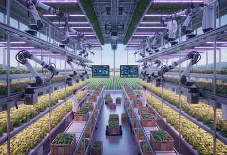 Canada's Vegetable Sector Embraces Service-Based Automation