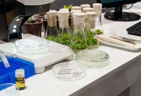 The Growing Role of Agricultural Biotechnology Companies in Shaping the Future of Agribusiness