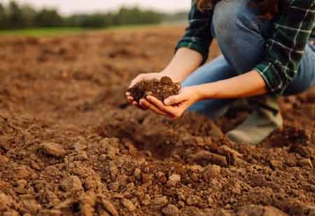 Soil Micronutrient Analysis for Agronomic Innovation