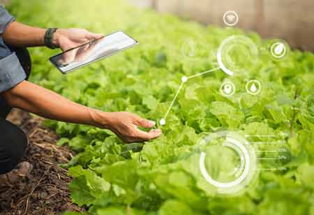 The Digital Infrastructure Transforming LATAM Agri-business