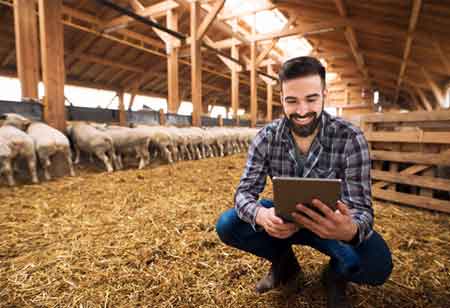 Advancements in Farm and Ranch Camera Technology Enhance Agricultural Security Advancements in Farm and Ranch Camera Technology Enhance Agricultural Security