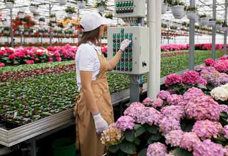 Data-Driven, Robotic Market Gardening: Advancing Productivity and Soil Health