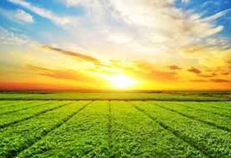 Agri Business Review