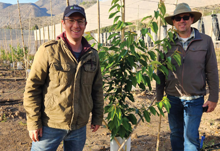 Anibal Schurter, Global Ag Supply | Agri Business Review | Most Trusted Agri-Innovation and Fruit Genetics Company in Latin America