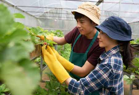 Alberto Regini, Plant Operations Director, Dobla | Agri Business Review