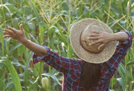 Thalib Imtiaz, Chief Executive Officer, Crysbro | Agri Business Review Thalib Imtiaz, Chief Executive Officer, Crysbro | Agri Business Review