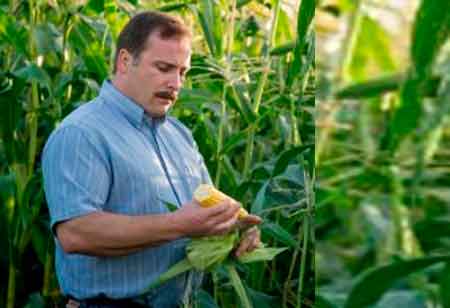 Rich Burres, Director of Ag Sustainability,  Lamb Weston | Agri Business Review