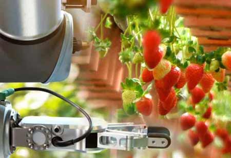 Agri Business Review
