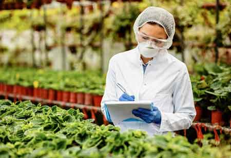 The Expansion of Biological Pest Control in Latin America's Row-Crop Systems