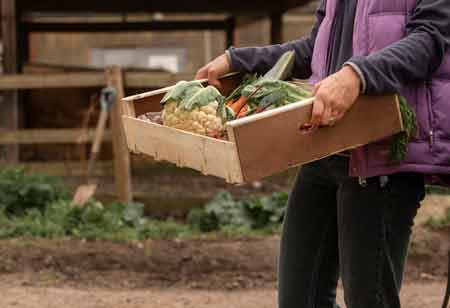 The Critical Role of Post-Harvest Management in the U.S.