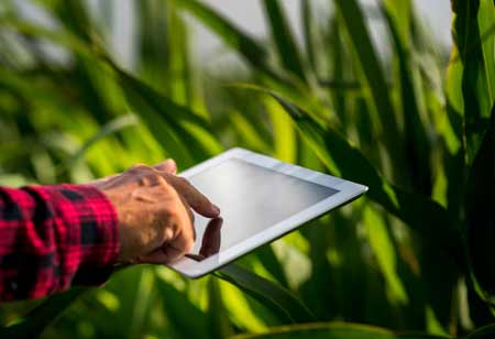 Reinventing Agricultural Marketing for a Changing World