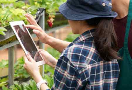  Dyego Guerra Calabres, Sr Business Intelligence Manager, Kellanova | Agri Business Review 