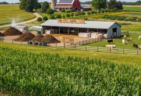 The Strategic Imperative of GMO-Free Feed in Modern Agriculture