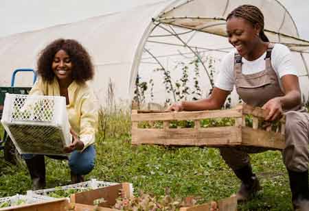 Strengthening Agribusiness with the Power of Cooperatives