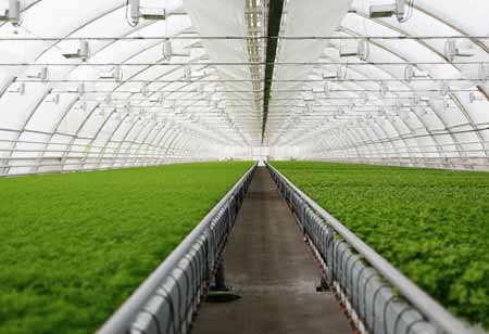 The Dawn of a New Era in Plant Nutrition: Biostimulants, Biofortification, and Beyond