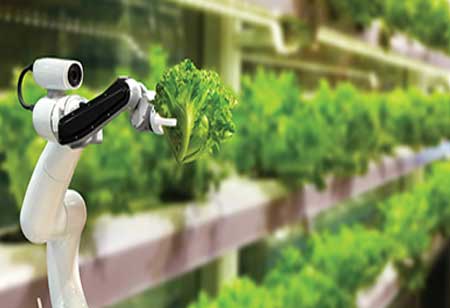 Lowland Hum, a folk group from Charlottesville, VA | Agri Business Review