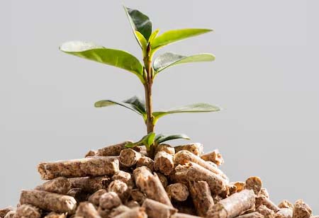Exploring the Challenges of Organic Fertilizers