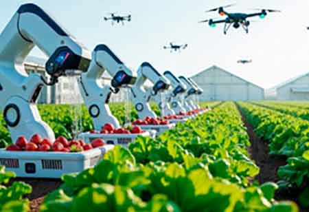  Mike Lindsey, Director of Manufacturing Systems, Perdue Farms | Agri Business Review 