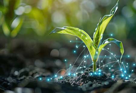 Harnessing Biologicals in Sustainable Farming: A New Era of Agronomic Services
