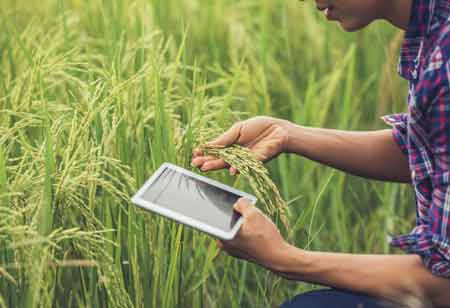 Role of AI in Revolutionizing Organic Fertilizer Development