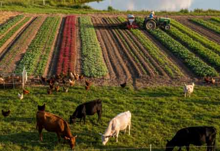 From Sustainability to Regeneration: Redefining the Future of Agriculture