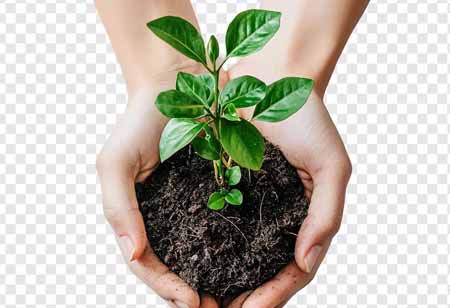 Advancing Sustainable Agriculture with Climate-Smart Practices in US