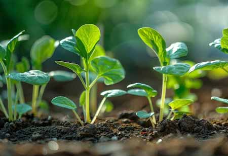 Advancing Sustainable Farming Practices with Biostimulants in Pesticide Use