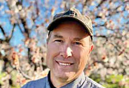 Pearl Sort: Applying AI Vision Systems to Modern Agricultural Sorting
