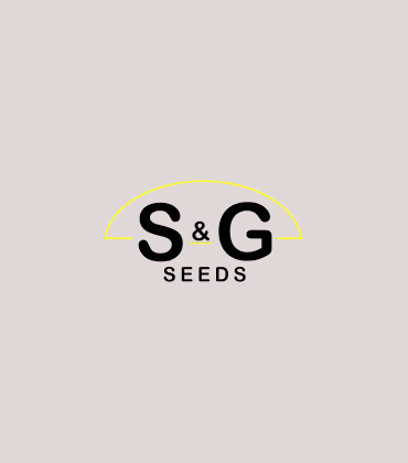 Nick Stewart, S&G Seeds | Agri Business Review | Top Soybeans Contract Production Service