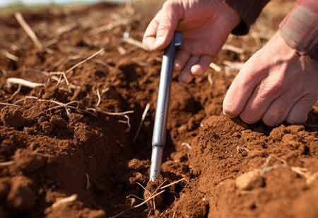 Addressing Global Soil Degradation Through Advanced Soil Sampling Techniques
